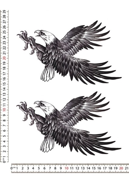 Kartal Motorsiklet Araç Leptop Dolap Sticker Çıkartma