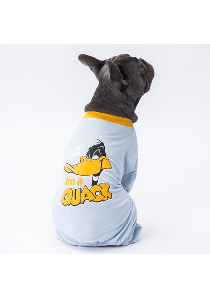 Daffy Duck Kedi Köpek Tulumu Kedi Köpek Kıyafeti Penye Tulum