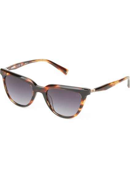 HM 1610 C2 Cat Eye Havana Kadın Güneş Gözlüğü