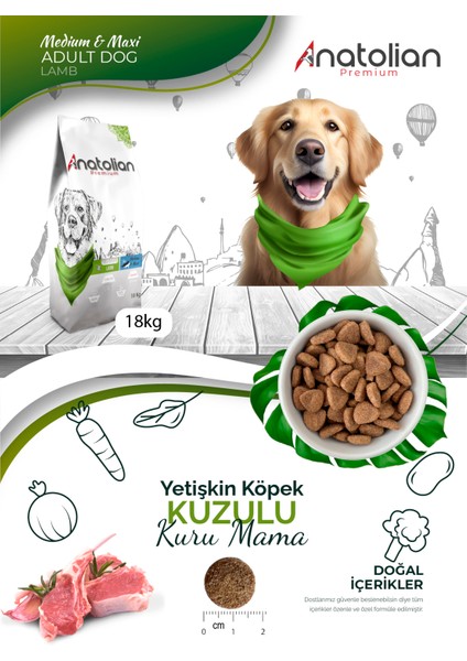 Lamb Kuzulu Medium Maxi Yetişkin Köpek Maması 18 Kg