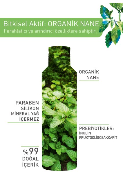 Yves Rocher Karma Ve Yağlı Ciltler Için Pure Menthe Prebiyotik Miseler Su-200 ml