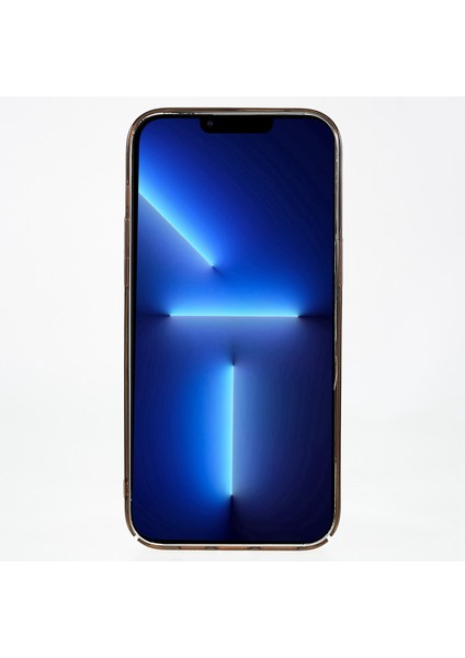 iPhone 14 Pro Max Telefon Kılıfı (Yurt Dışından)