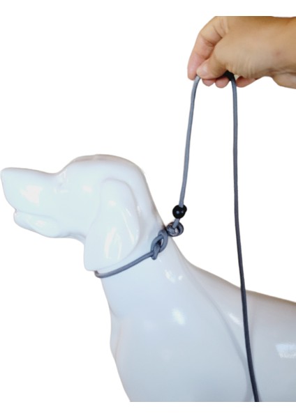 Stoperli Eğitim Tasma Kayış Bir Arada Köpek Eğitim Kayışı