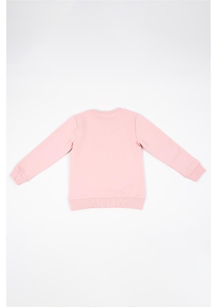 Kız Çocuk Pembe Uzun Kollu Kuş Nakış Detaylı Kışlık Sweatshirt