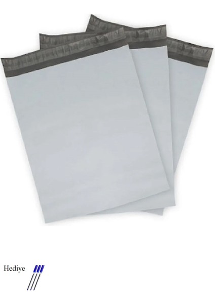 Cepsiz Küçük Boy Kargo Poşeti 24X30+5 cm - 100 Adet (40+40=80 Mikron)