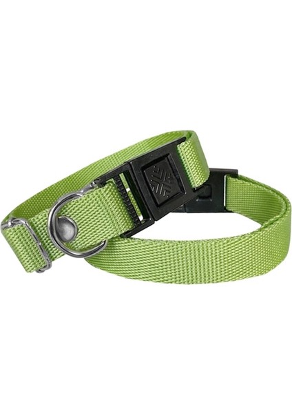 Köpek Tasması Dokuma 2 cm x Min 30 cm x Max 50 cm Yeşil