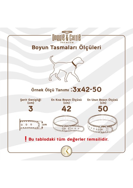 CLZ205 Ayarlanabilir Elastik Kedi Boyun Tasması 1 cm x 30 cm Pembe