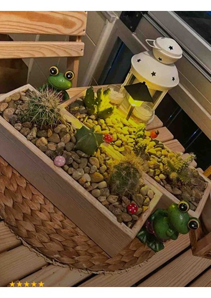 Ahşap Çiçeklik Ahşap Saksı Kaktüs