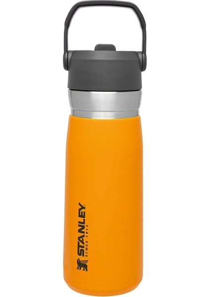 Go Iceflow Pipetli Paslanmaz Çelik Soğuk Su Termosu 0.65 Lt