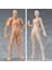 13 cm Aksiyon Figürü Oyuncakları Sanatçı Hareketli Erkek Kadın Ortak Şekil Pvc Vücut Figürleri Modeli Manken Sanat Kroki Beraberlik Heykelcik (Yurt Dışından) 2