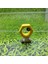 Hakiki Pokemon 3-8 cm Pvc Lapras Gengar Sandygast Togepi Vulpix Greninja Anime Aksiyon Figürü Oyuncakları Bebek Çocuk Doğum Günü Hediyesi (Yurt Dışından) 5