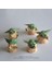 Disney Star Wars Oyuncak Ustası 5-6 cm Bebek Yoda Darth Pvc Aksiyon Figürü Anime Figürleri Koleksiyonu Bebek Mini Oyuncak Modeli Çocuklar Için (Yurt Dışından) 3