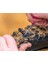 Puncture Plug Repair Kit Lastik Onarım Seti 3