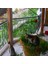 Kedi Filesi - Kedi Ağı - 4 cm Gözenek 2,5 mm Ip - Balkon Filesi - Kedi Koruma Ağı - 1 Metre, 3 Metre 3