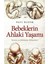 Bebeklerin Ahlaki Yaşamı: İyinin Ve Kötünün Kökenleri - Paul Bloom 1