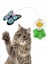 Pilli Kedi Oyuncağı, Hareket Eden Kelebek Kedi Oyuncağı, Kedi Aktivite Oyuncağı, Kedi Oyuncağı 1