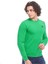 Erkek Sweatshirt Fultus 2