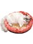 Yuvarlak Kedi Yuvası Evcil Hayvan Malzemeleri - 55CM (Yurt Dışından) 1