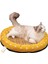 Yuvarlak Kedi Yuvası Evcil Hayvan MALZEMELERI-35CM (Yurt Dışından) 1