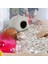 1 Adet Hamster Yuvası-Gri-Yurt Yuvası (Yurt Dışından) 5