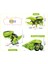 Cicibears Robot Dinozor Güneş Enerjili Bilim Eğitimi Oyuncağı - Green (Yurt Dışından) 5
