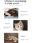 Xingzhi Kedi Renkli Kumaş Komik Kedi Sopa (Yurt Dışından) 3