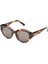 HM 1608 C2 Cat Eye Havana Kadın Güneş Gözlüğü 1