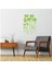 DUVAR ÇIKARTMA STICKER DEKORATİF DUVAR KAĞIDI,SÜS İKİ ADET YEŞİL ÇİÇEKLİ PVC 48X33X0,5CM 5