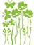 DUVAR ÇIKARTMA STICKER DEKORATİF DUVAR KAĞIDI,SÜS İKİ ADET YEŞİL ÇİÇEKLİ PVC 48X33X0,5CM 6