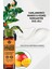 Yves Rocher Konsantre Duş Jeli - Canlandırıcı Mango & Kişniş - 100ml 3