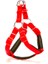Köpek Göğüs Tasması 35 cm x small 1