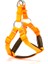 Köpek Göğüs Tasması 35 cm x small 1