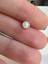 Cerrahi Çelik Inci Taşlı Kıkırdak Helix Tragus PIERCING(1ADET) 5