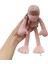21CM Küçük Kurbağa Kolye Peluş Bebek (Yurt Dışından) 1