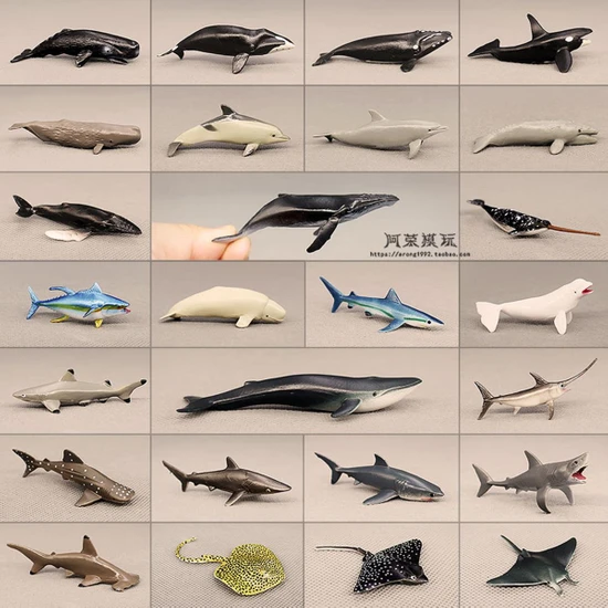 Sourcingasia Deniz Dünyası Mini Balıklar Modeli Büyük Beyaz Köpekbalığı Mavi Balina Beluga Balina Yunus Manta Işınları Okyanuslar Hayvan Minyatür Çocuk Oyuncakları (Yurt Dışından)