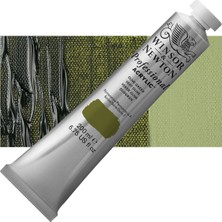 Winsor & Newton Professional Akrilik Boya 200 ml Olive Green 447 S.2