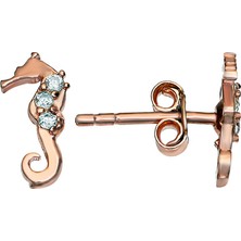 Argentum Concept Gümüş Denizatı Küpe K082801