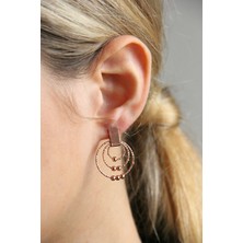 Argentum Concept Gümüş Toplu Rose Tasarım Çift Küpe K084701