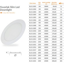 Borsan 3 W Sıva Altı Led Panel Yuvarlak Günışığı