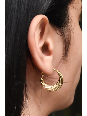 Papatya Silver 925 Ayar Gümüş Gold Kaplama Licuala Desenli Küpe