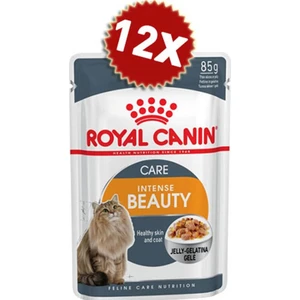 Royal Canin Intense Beauty Jelly Kedi Konservesi 85GRX12ADET