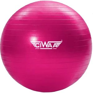 CWA-2045 Pilates Topu 65 cm Pembe