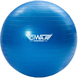 CWA-2046 Pilates Topu 75 cm Mavi