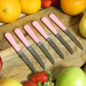Rooc Lüks 6'lı Meyve Bıçağı Pembe