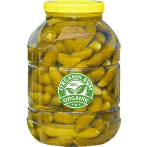 Organik AVM Elazığ Doğal Ev Yapımı Salatalık Turşusu 5 kg