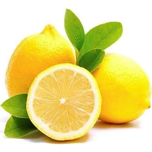 Aşılı Kokulu Verimli Aydın Limon Fidanı
