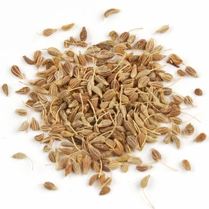 Anason Tohum 200 Tohum