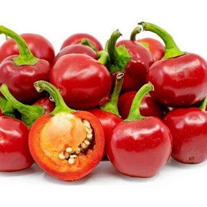 Doğal Red Cherry Hot Acı Biber Tohum 20 Tohum