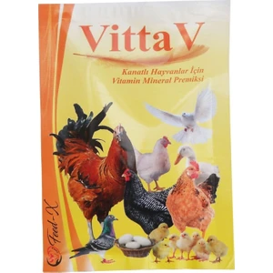 Feed-X Yem ve Katkı Maddeleri Vittav 100GR Tavuk ve Kanatlı Hayvanlar Için Vitamin ve Mineral  Premiks