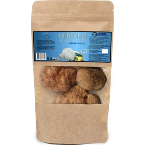 Hericium Aslan Yelesi Mantarı Kuru 100 gr